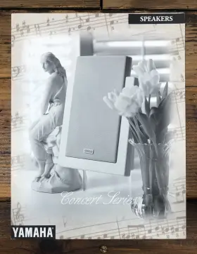 YST-SW60C YAMAHA Concert Speaker Brochure