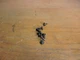 Akai CS-M3 Cassette Deck Part - Cabinet screws