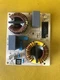 Bosch NIT5068UC OEM 11016570 PC Board 02212457 9001136378 DEFECTIVE SCRATCH 