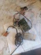 Sansui SR-535 parts lot untested 