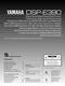 Operating Instructions for Yamaha DSP-E390