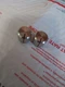 Sony STR-7065a receiver Speaker Filter MoDe Function Knobs 2 