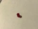 New Fisher Replacement RED Plastic Light Jewel for X-101 X-202 B CX-400 X-1000