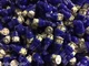 (3) BLUE 8V-LED LAMP/KA-5700 5500 6100 9100/KT-5500 6500 7500 6550 6500/Kenwood