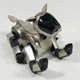 Tested SONY AIBO ERS-210 Gold Virtual Pet Robot Charging Station Memory stick