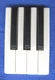 Hammond Organ KEYCAPS F-B Keys - A100 B2 B3 C2 C3 M2 M3 RT2 RT3 