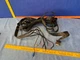 Bose Acoustimass 6 Series III RCA  Ribbon Subwoofer Cable