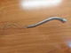 Technics SL-1810 SL-1800 MK2 SME Arm S BEND Tube Pipe Tonearm Tone Arm Rod
