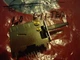 Sansui QRX-9001 Quad Receiver Parting Out Lo Filter Switch