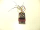 SANSUI T-707 TUNER PARTS - power transformer  T1470CL