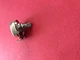   Vintage Mcintosh  MC225 / MC240 amplifier  GAIN  Potentiometer . New.