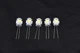 5 Lamp LED Light Bulbs for Sansui QRX-8001 QRX-9001 receiver dial panel
