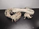 Bose Acoustimass 6 - 5.1 Wiring Harness