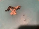 Dual CS-506-1 Stereo Turntable Parting Out - Tonearm Segment