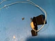 Harman Kardon Rabco ST-7 Stereo Turntable -Parting Out - ELectromagnet
