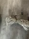BOSE Acoustimass 6/10/15 Series I II III IV Input (2 RCA To 2 Speaker Wire)