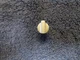 YAMAHA NATURAL SOUND RECEIVER CR1020/CR2020/CR3020 PHONO SELECTOR KNOB #CB07927